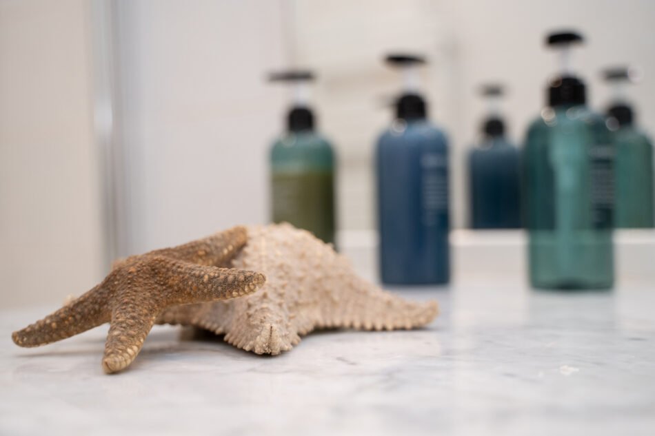 Roma | Navona Apartment
