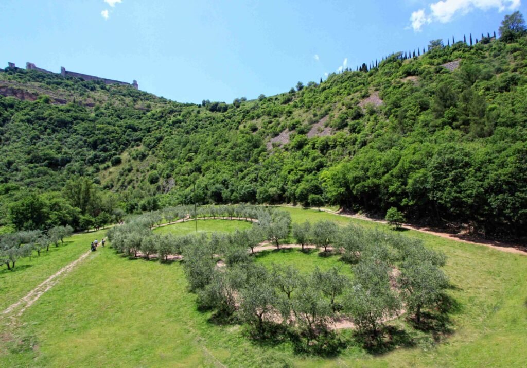 Il Bosco di San Francesco ad Assisi con l'opera Terzo Paradiso e la Basilica sullo sfondo